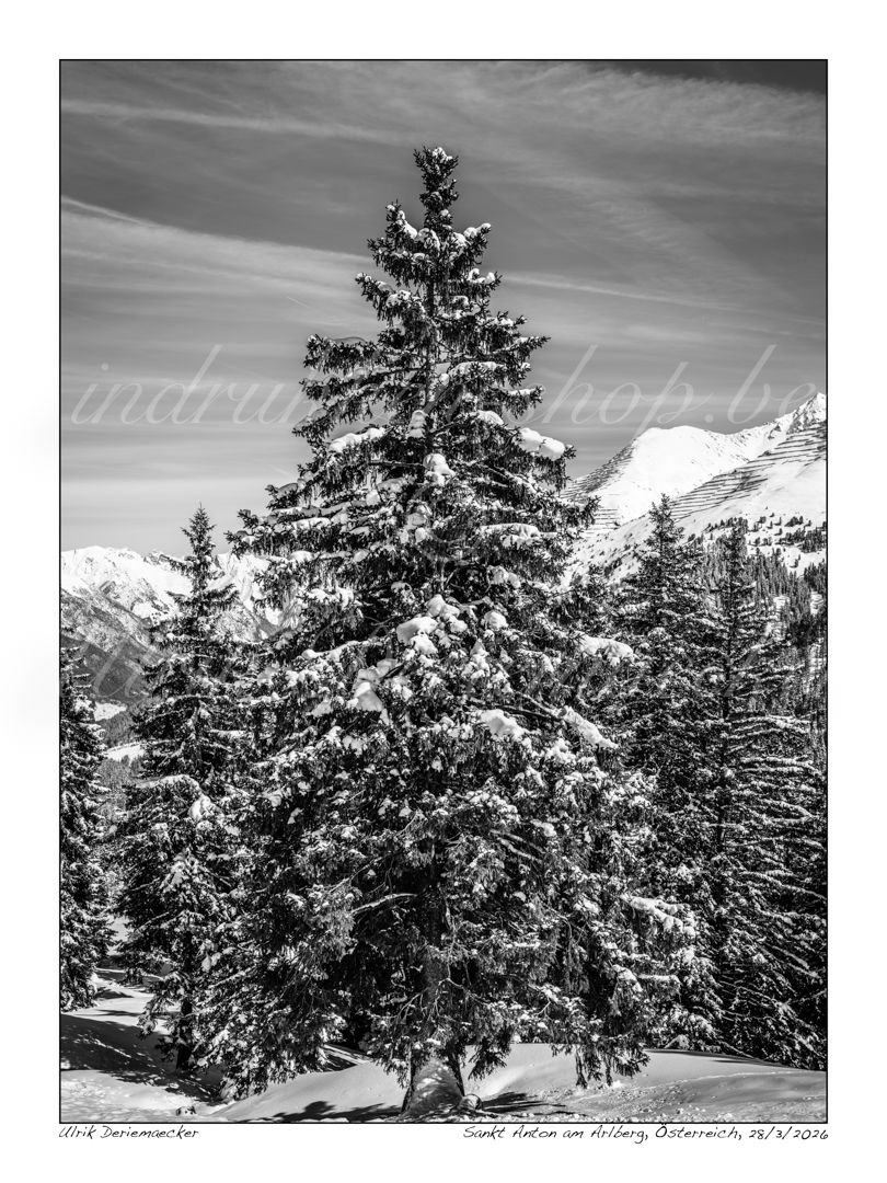 2026-03-28-0040 - Austria, Sankt Anton am Arlberg - 3x4 small