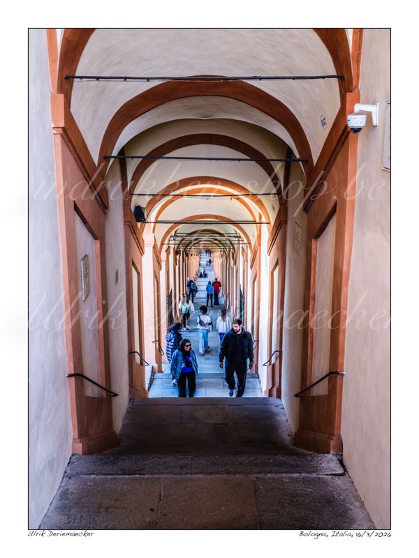 2026-03-16-0024 - Italië, Bologna - 3x4 klein