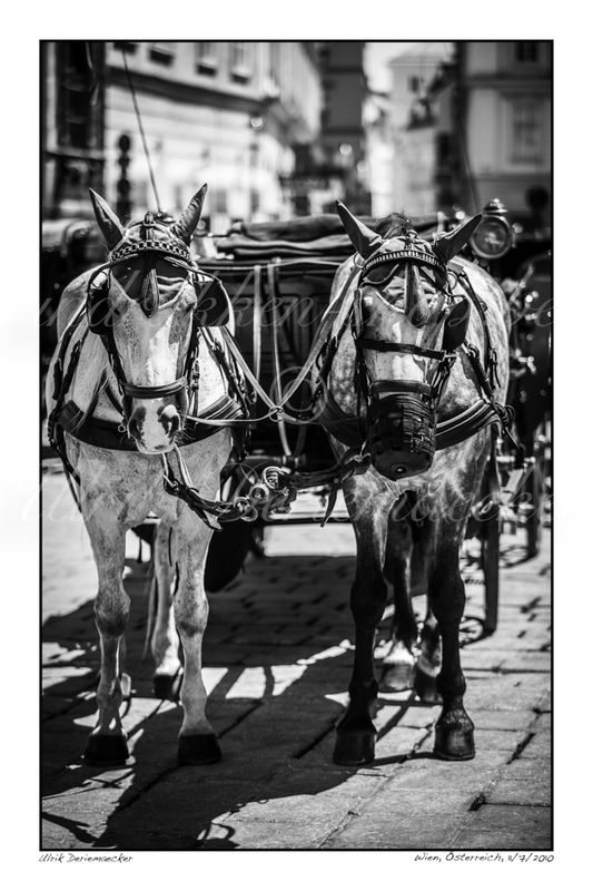 2010-07-11-0016 - Autriche, Vienne(ville) - 2x3 petit