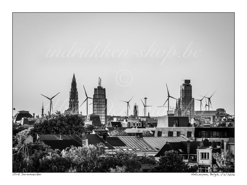 2026-05-01-0026 - Belgique, Anvers(ville) - 4x3 grand