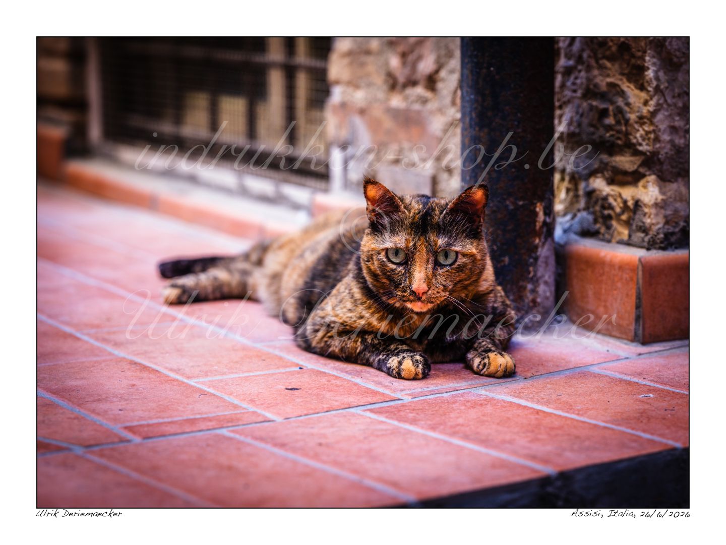 2026-06-26-0120 - Italië, Assisi - 4x3 groot