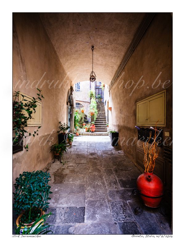 2026-07-14-0008 - Italy, Orvieto - 3x4 small