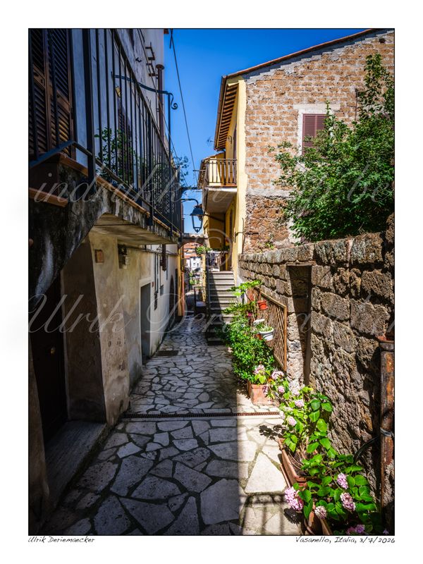 2026-07-03-0027 - Italie, Vasanello - 3x4 petit