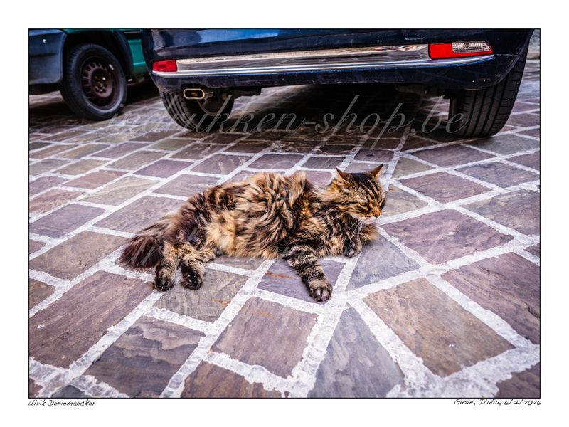 2026-07-06-0058 - Italy, Giove - 4x3 small