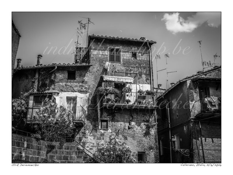 2026-06-21-0033 - Italie, Vallerano - 4x3 petit