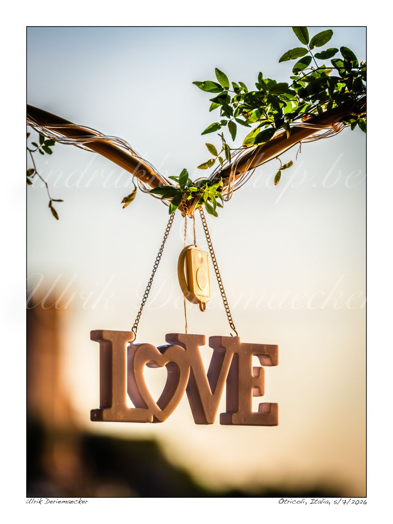 2026-07-05-0037 - Italy, Otricoli - 3x4 small