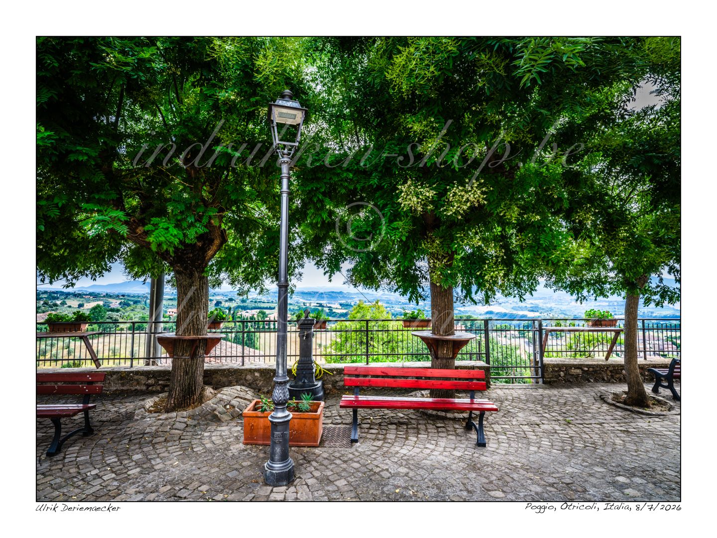 2026-07-08-0021 - Italy, Otricoli - 4x3 small