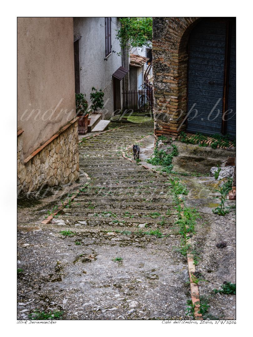 2026-07-02-0050 - Italy, Calvi dell'Umbria - 3x4 small