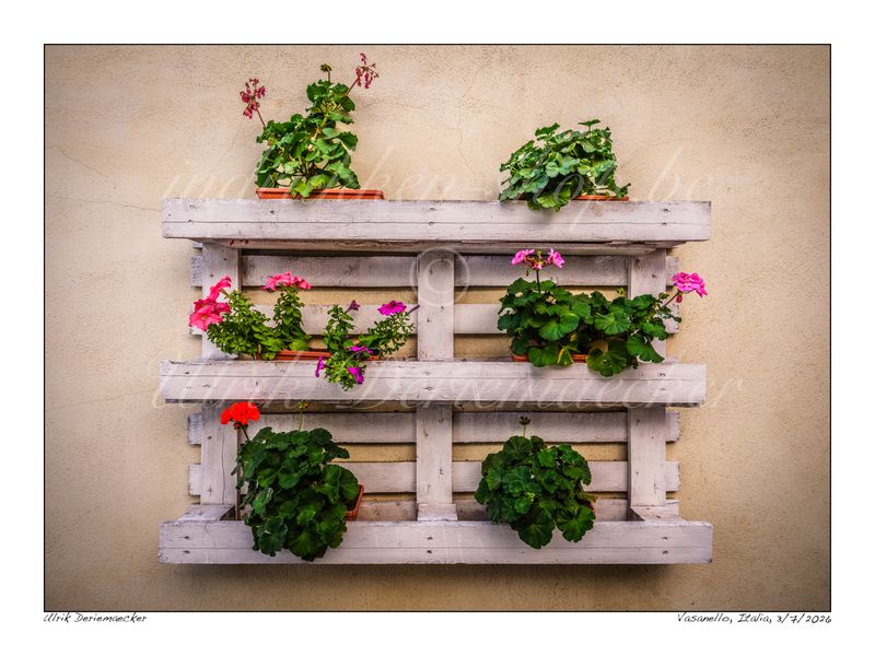 2026-07-03-0007 - Italie, Vasanello - 4x3 petit