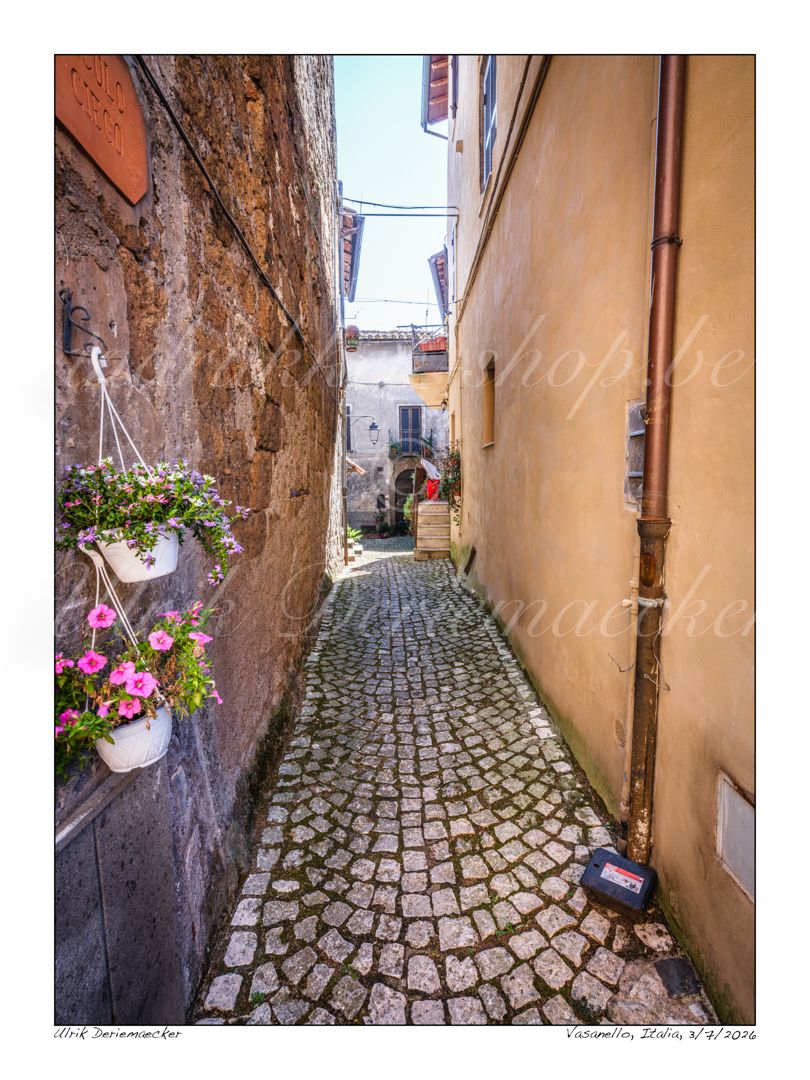 2026-07-03-0013 - Italie, Vasanello - 3x4 petit