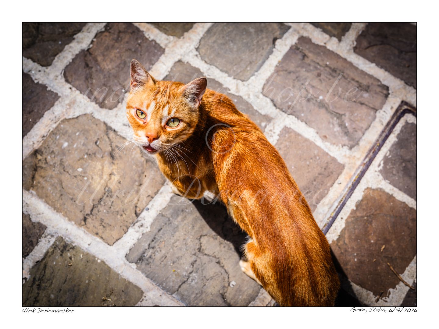 2026-07-06-0025 - Italy, Giove - 4x3 small