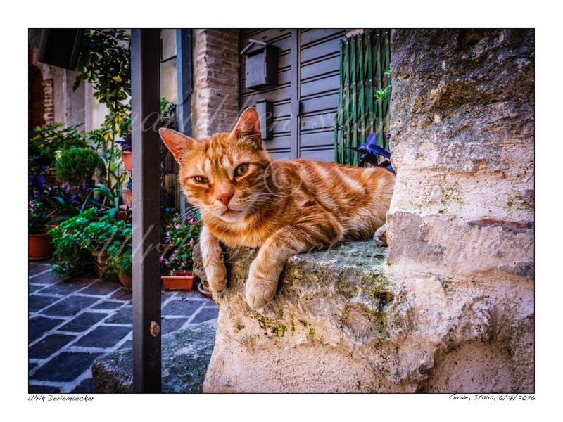 2026-07-06-0040 - Italy, Giove - 4x3 small
