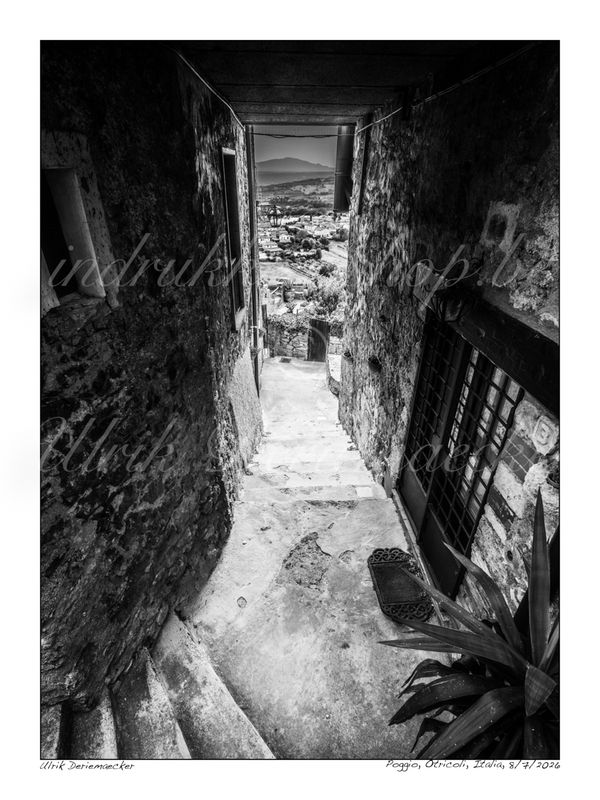 2026-07-08-0011 - Italie, Otricoli - 3x4 petit
