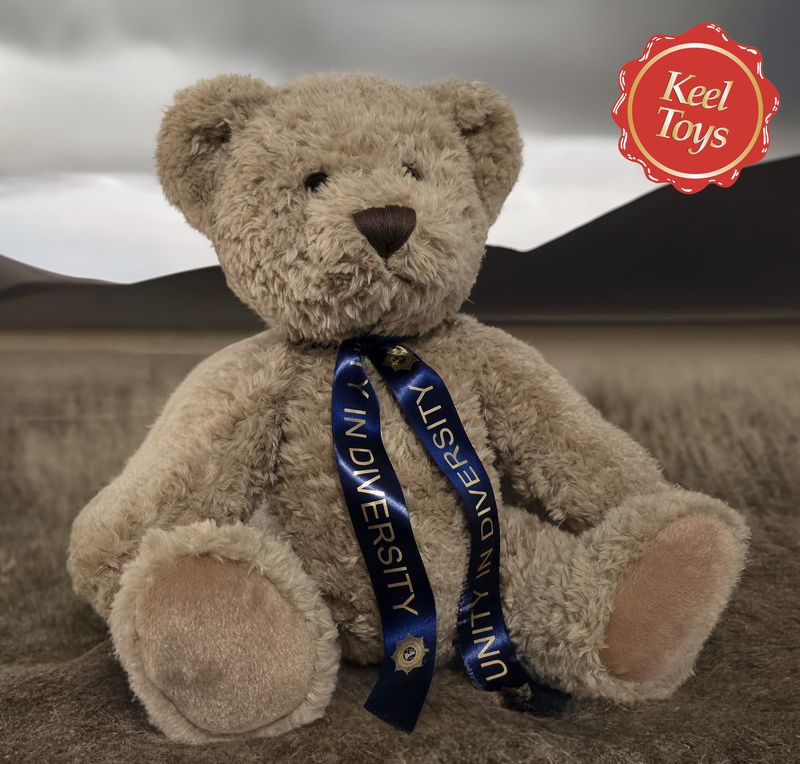 'ACE' the PUKDS UNITY Bear