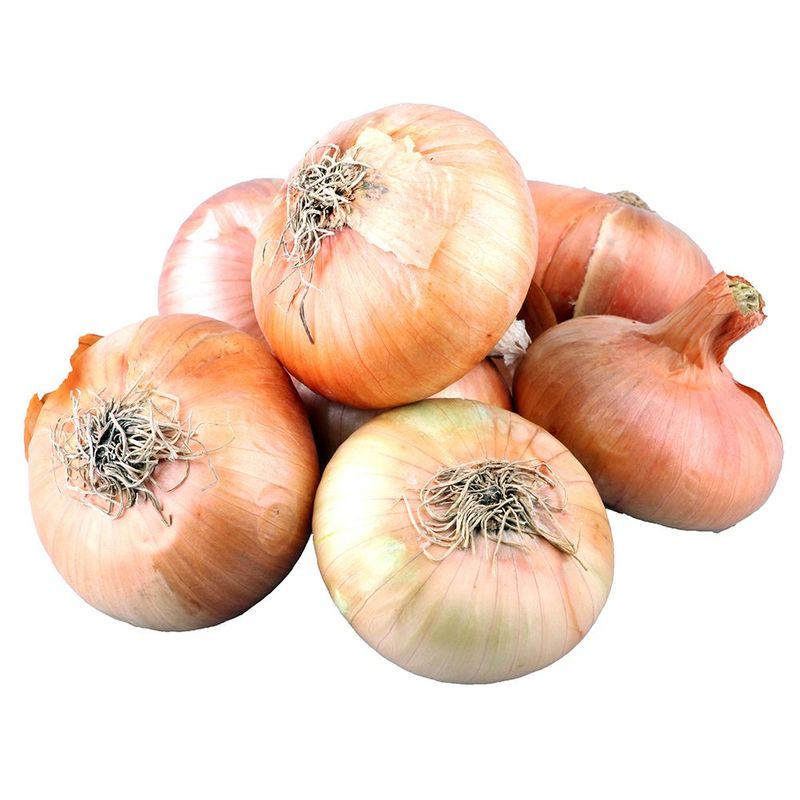 Laukur Stór Hótellaukur