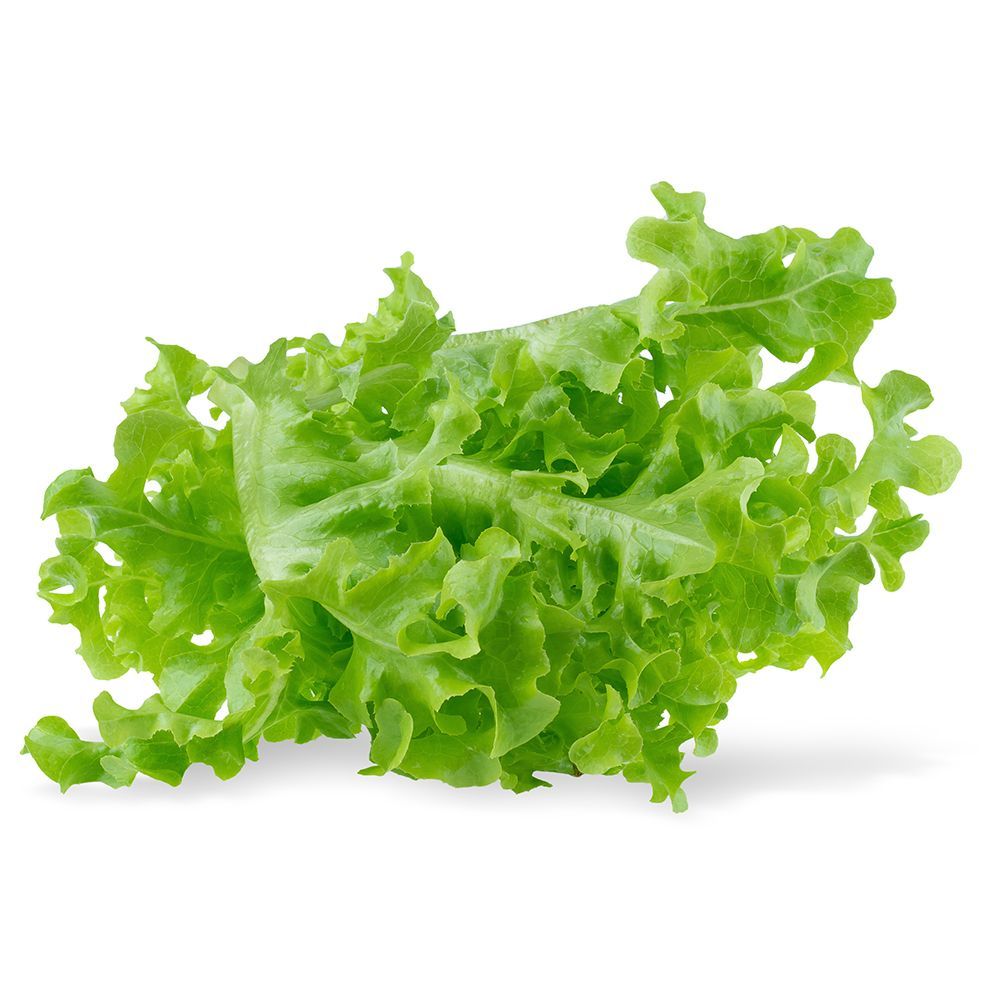 Íssalat Ösp