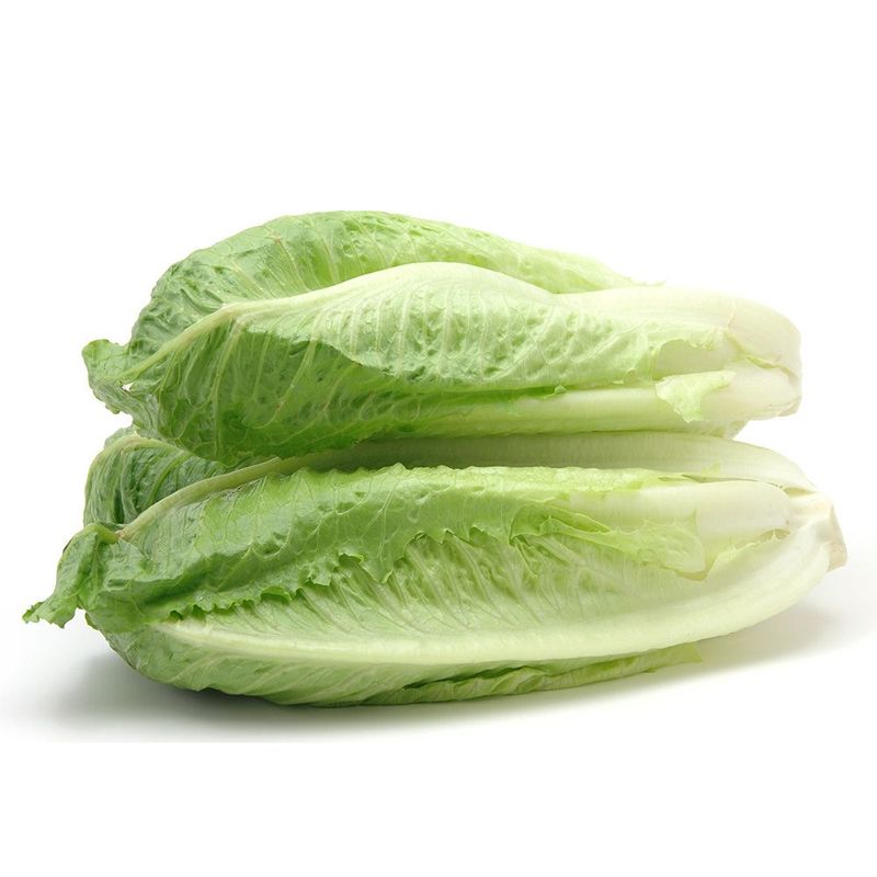 Romain salat stk