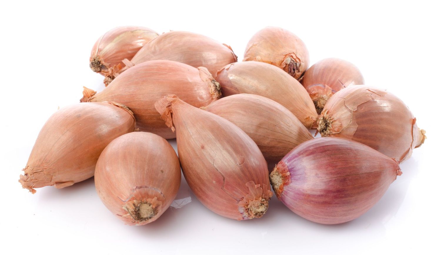 Shallottulaukur