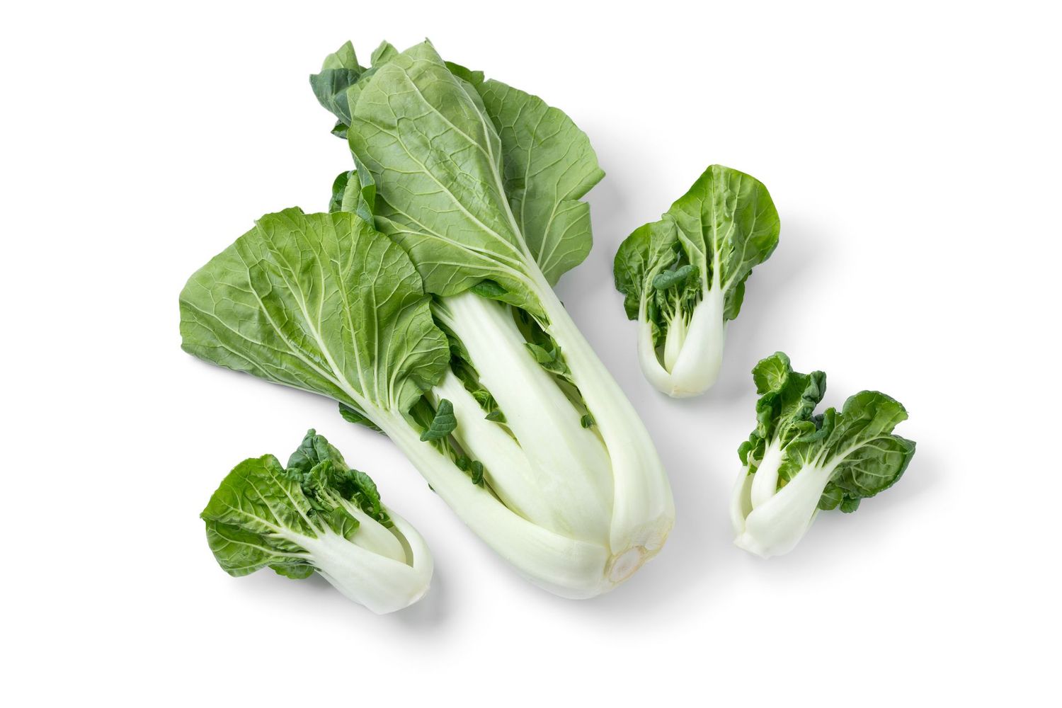 Paksoy Íslenskt