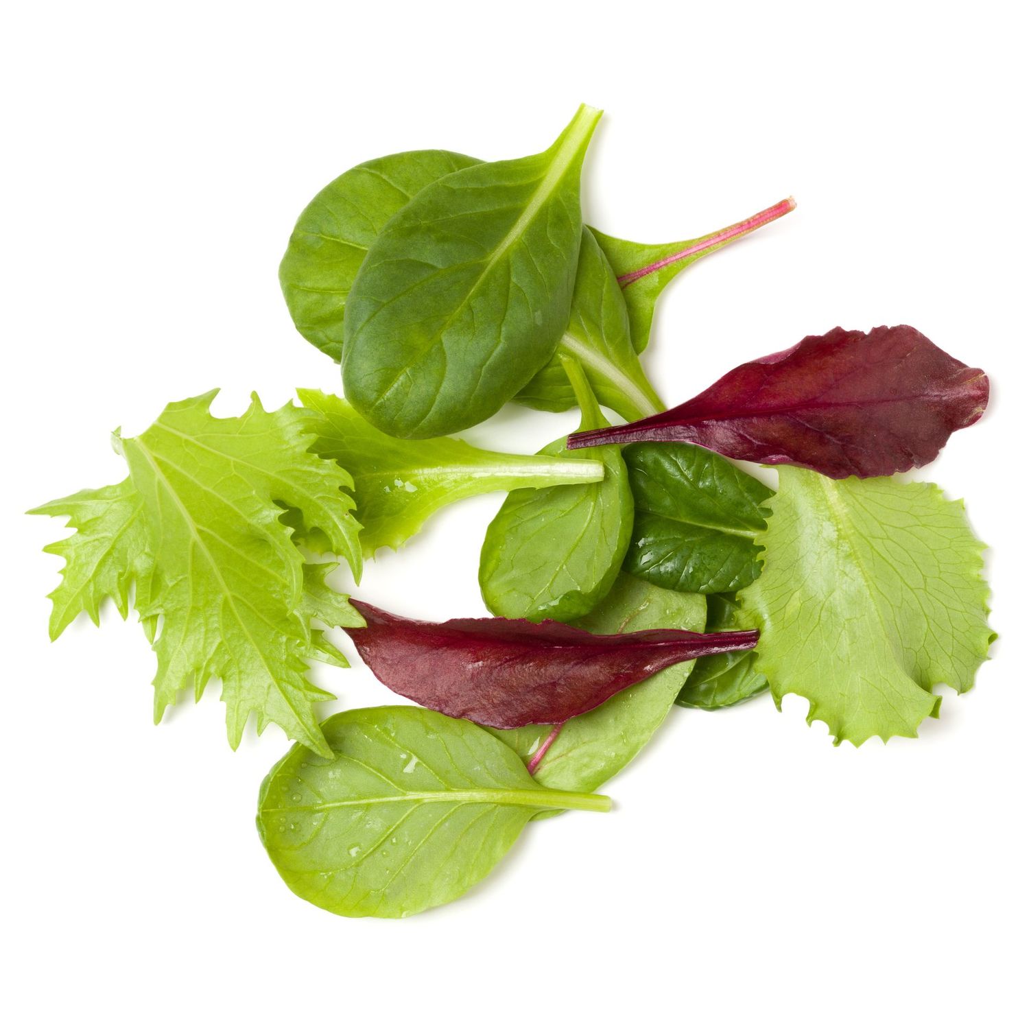 Salatblanda Ösp