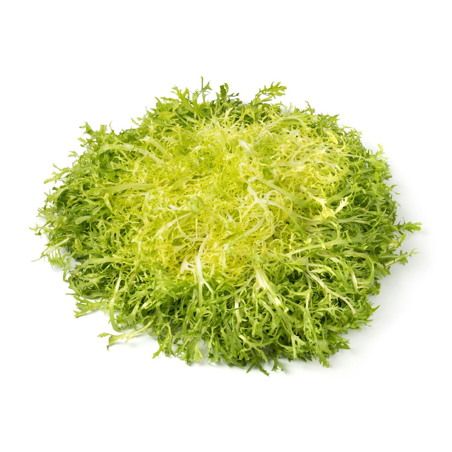 Frisée