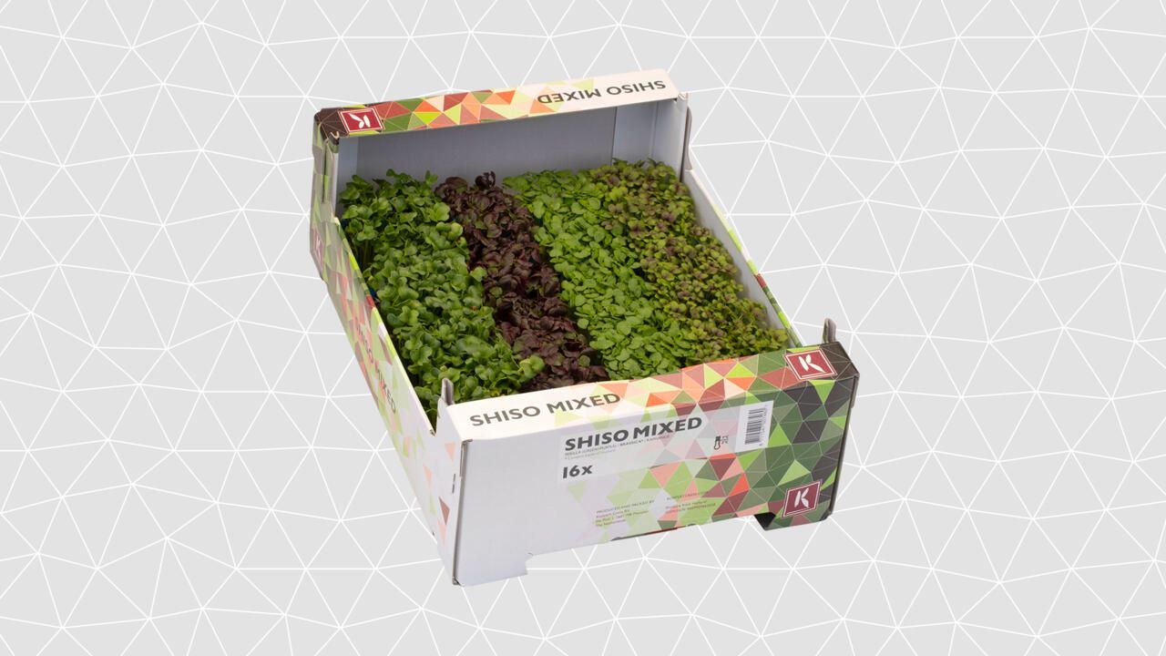 Karsi (Shiso-blandan) 16 pottar