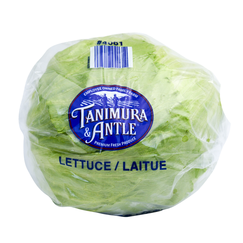 Iceberg pakkað