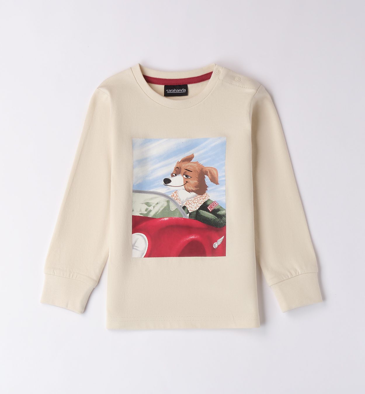 t-shirt hond in auto