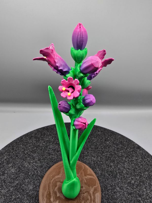 Pflanze passend für kleine Kolibris mit verschiedenen Blüten, 28 cm (lila)