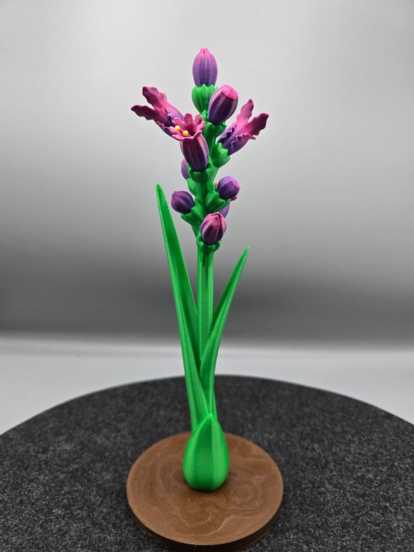 Pflanze passend für kleine Kolibris mit verschiedenen Blüten, 28 cm (lila)