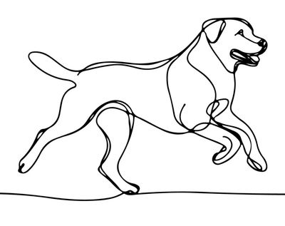 Hund
