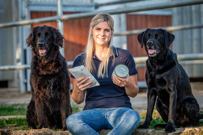 Ernährungsberatung Pferd/Hund/Katze