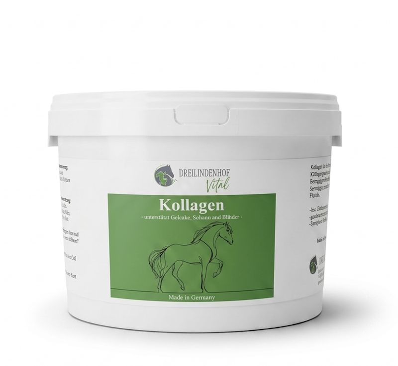 Kollagen für Pferde - 1000 g Kollagen für Pferde - 1000 g