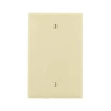 1G -  BLANK WALL PLATE, NYLON,  IVORY