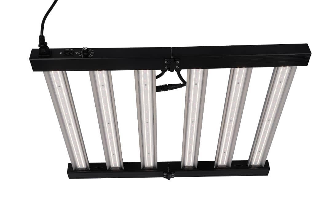 Butterfly Farm P320-W LED-ProLight