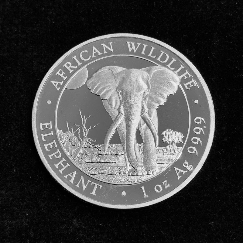 100 Shillings Somalia 2025 Elefant – 1 Unze Silber st 100 Shillings Somalia 2025 Elefant – 1 Unze Silber st