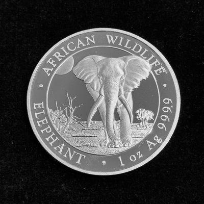 100 Shillings Somalia 2025 Elefant – 1 Unze Silber st 100 Shillings Somalia 2025 Elefant – 1 Unze Silber st