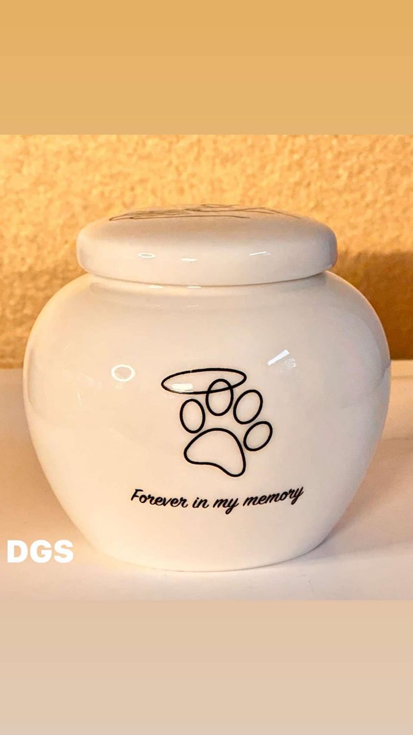 Urn Kitty