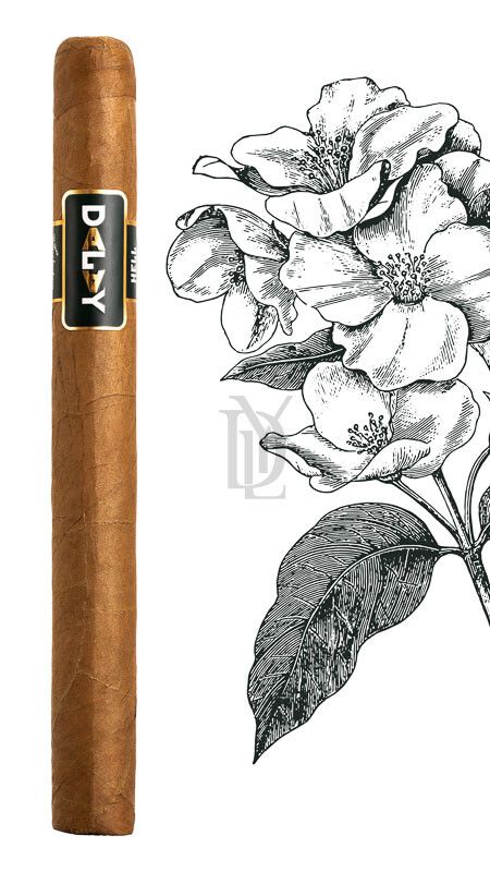 Dalay Honduras Hell Presidente