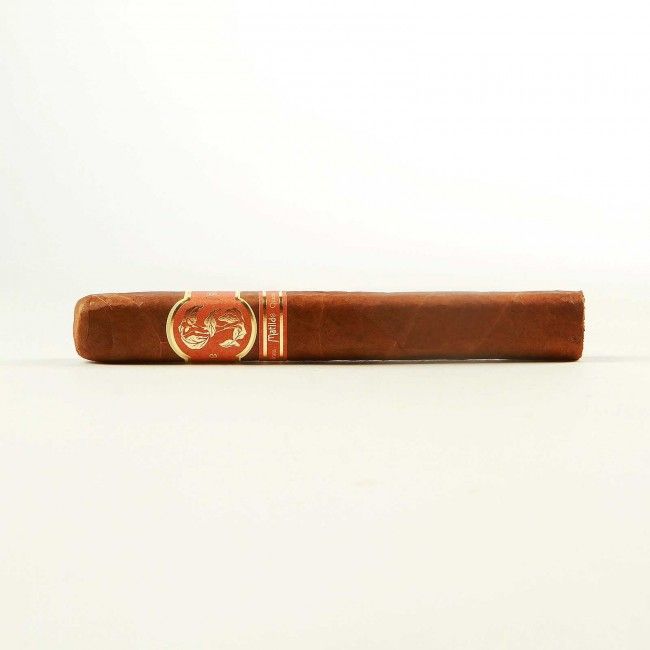 Matilde Quadrata Toro Bravo