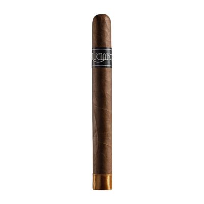 Luciano The Dreamer Toro de Luxe