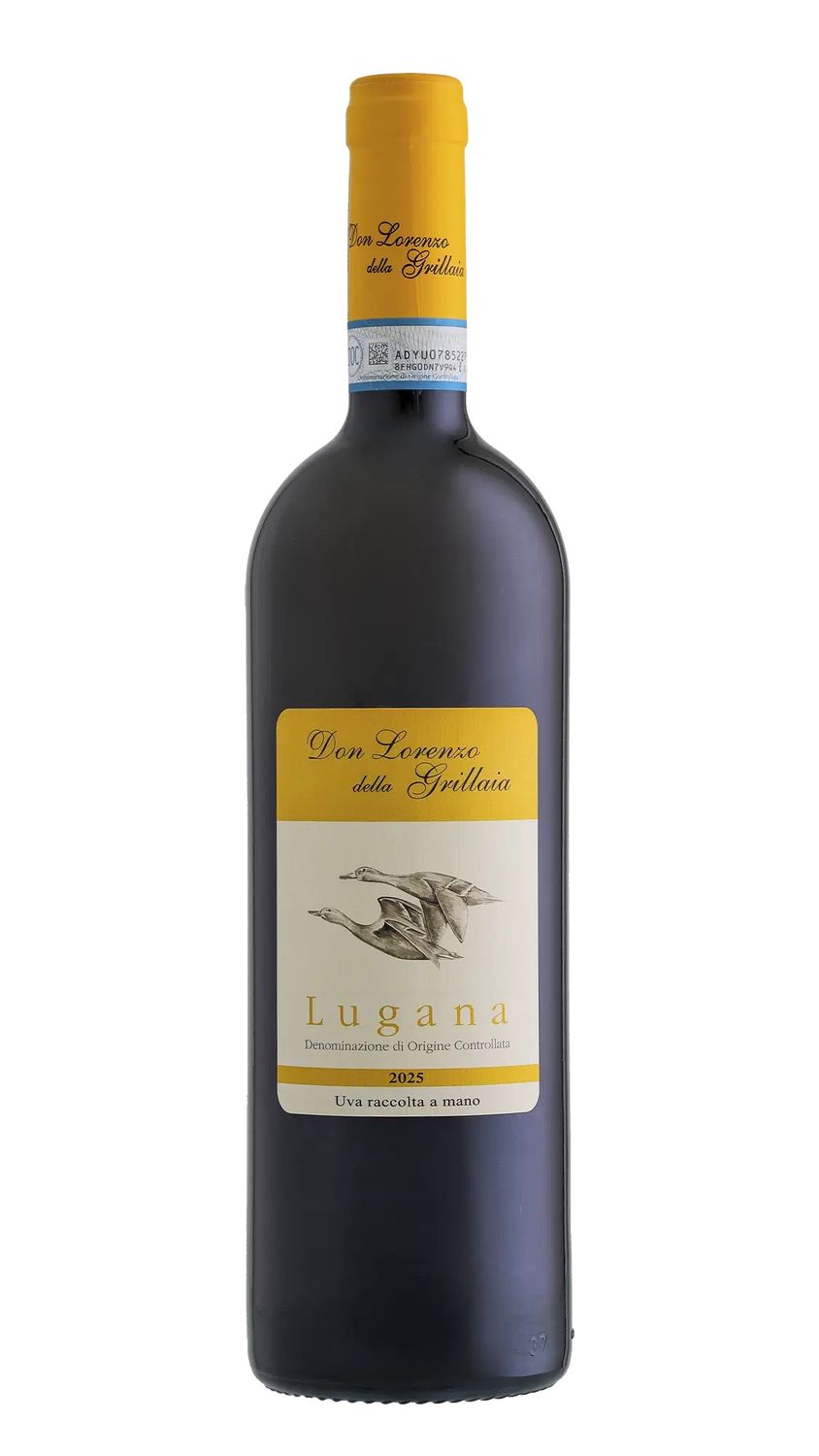 Don Lorenzo della Grillaia - Lugana 2025 Don Lorenzo