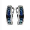 SE263/143T429 / 18KWG SAPP ER-: 0.5cts/G: 1.3g