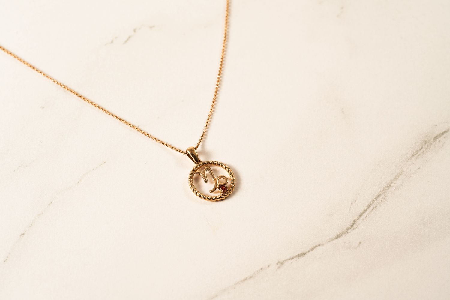 Capricorn Zodiac Necklace