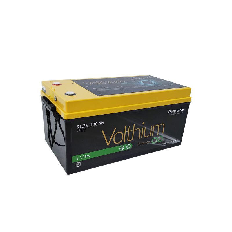 BATTERIE LITHIUM 51.2V 100AH AUTOHAUFFANTE AVEC SOFT START ET BOUTON ON/OFF GR 8D