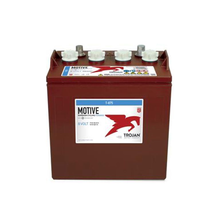 BATTERIE TROJAN T-875 Gr. GC8 8V 170AMP