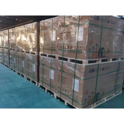 PALETTE DE 36 X  MONO 540 WATTS DMEGC BI-FACIAUX