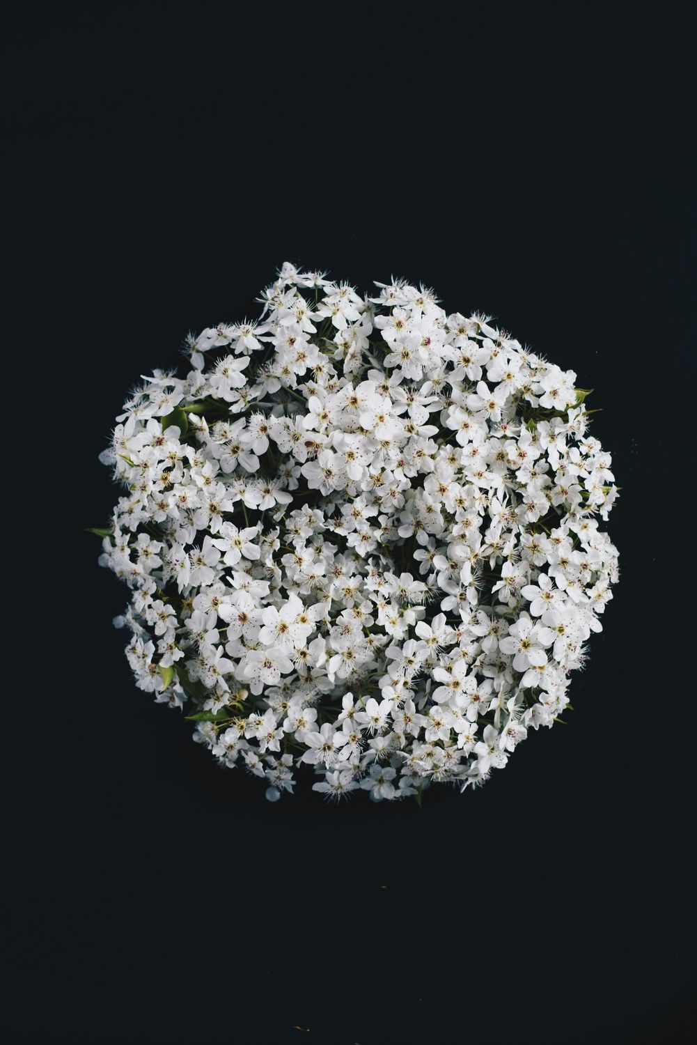 Graceful Farewell Wreath