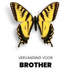 Brother