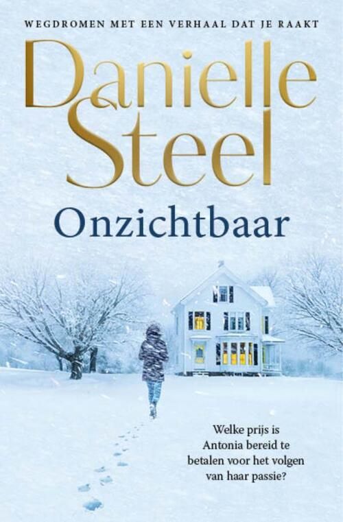 Onzichtbaar - Danielle Steel